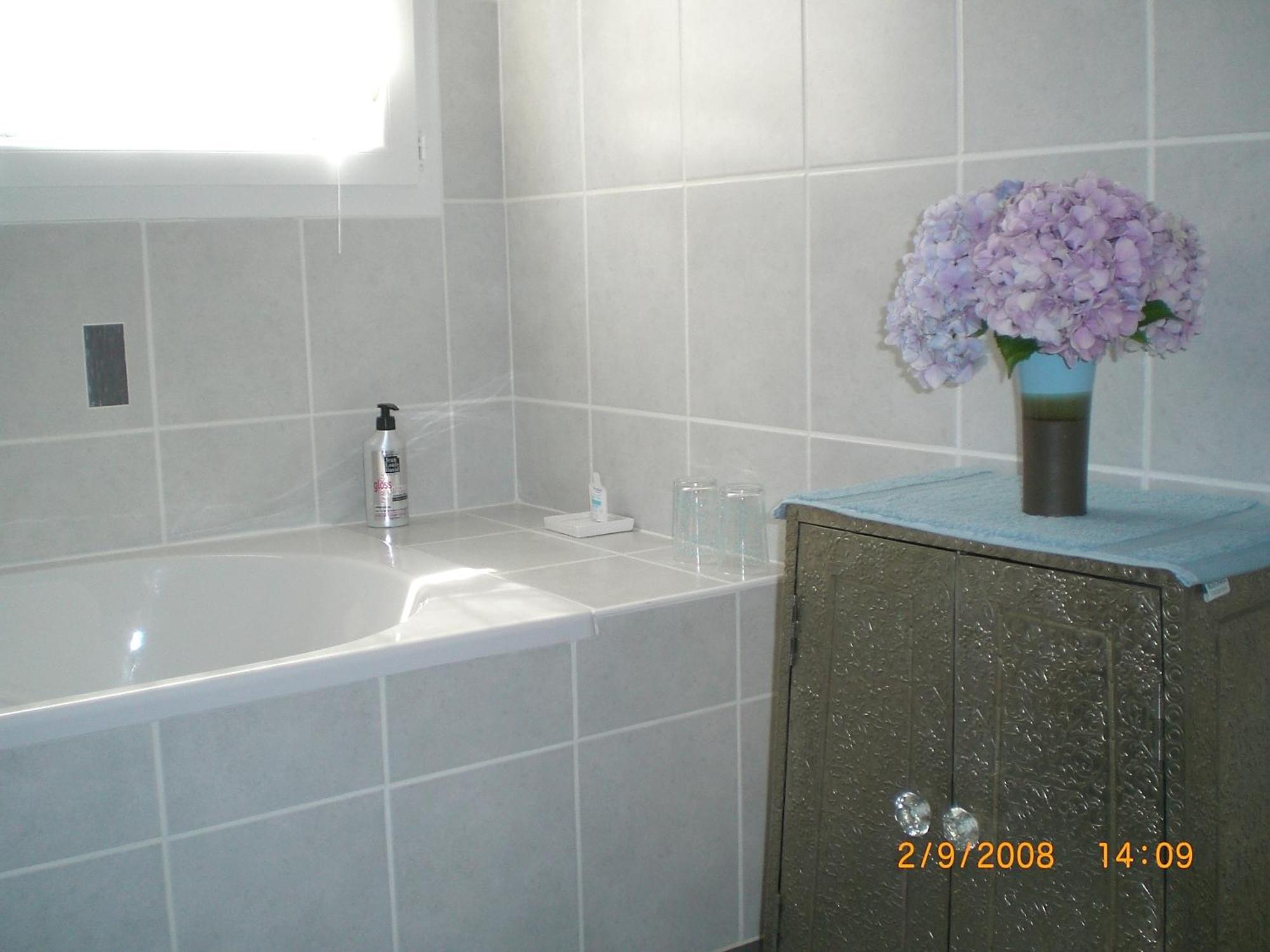 La Lilas Des Fargues Maison D'Hotes Αλμπί Εξωτερικό φωτογραφία