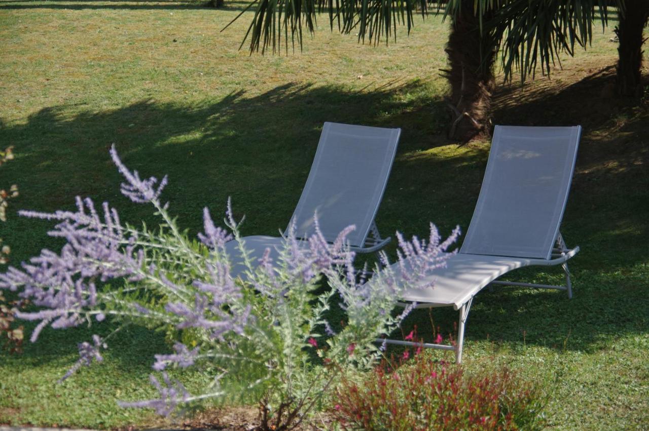 La Lilas Des Fargues Maison D'Hotes Αλμπί Εξωτερικό φωτογραφία
